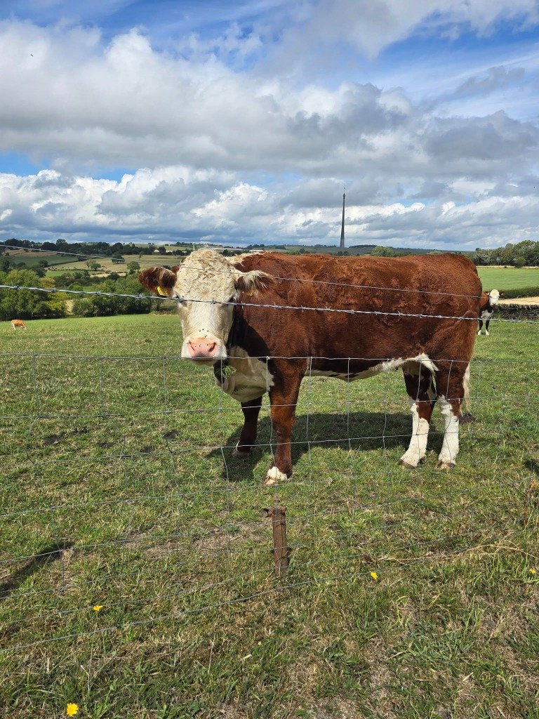 Anthracite Windows Installed at a Farm in Shelley